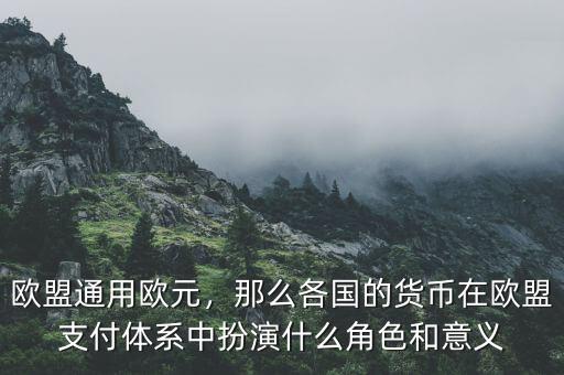 歐元什么時候發行的,歐盟通用歐元