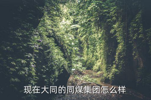 現在大同的同煤集團怎么樣