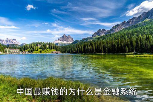 中國最賺錢的為什么是金融系統
