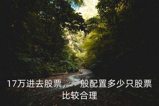 17萬進(jìn)去股票，一般配置多少只股票比較合理