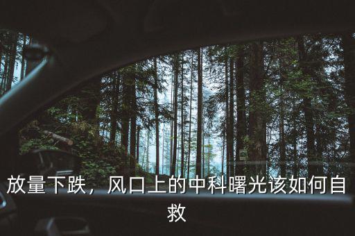放量下跌，風口上的中科曙光該如何自救