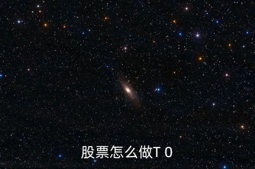 什么是做股數做品種,股票怎么做T 0