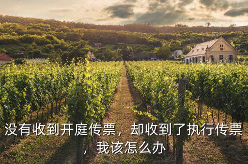 收到執行庭傳票怎么辦,沒有收到開庭傳票