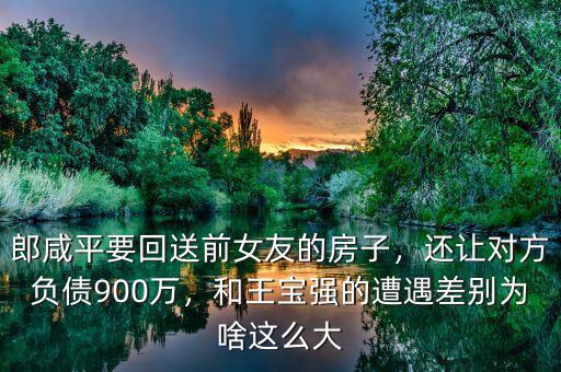 郎咸平要回送前女友的房子，還讓對方負債900萬，和王寶強的遭遇差別為啥這么大