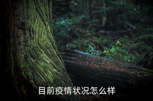 中國現在形勢怎么樣,現在狀況怎么樣了