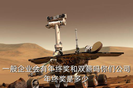 一般企業會有年終獎和雙薪嗎你們公司年終獎是多少