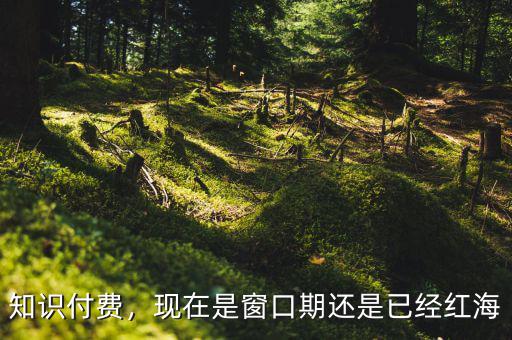 什么是紅海時代,創業最難的地方是什么