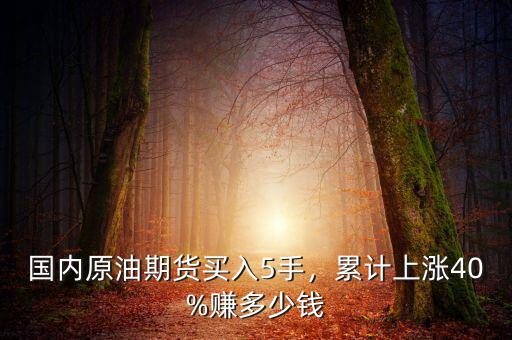 國內原油期貨買入5手，累計上漲40%賺多少錢
