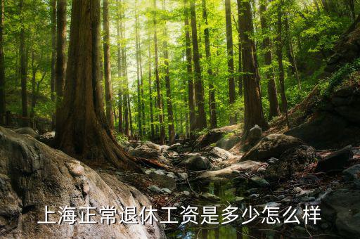 上海養老金是多少,退休金應該是多少