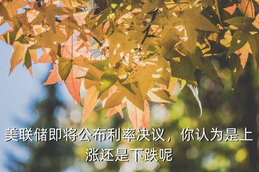 美聯儲利率決議是什么意思,美聯儲即將公布利率決議
