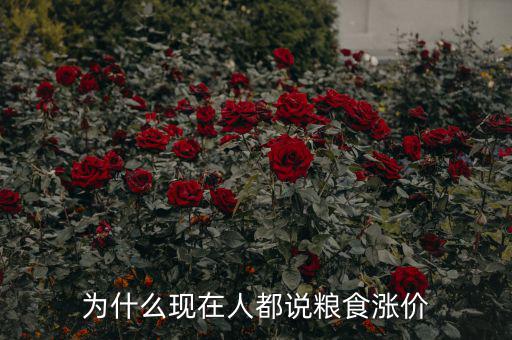 為什么現在人都說糧食漲價