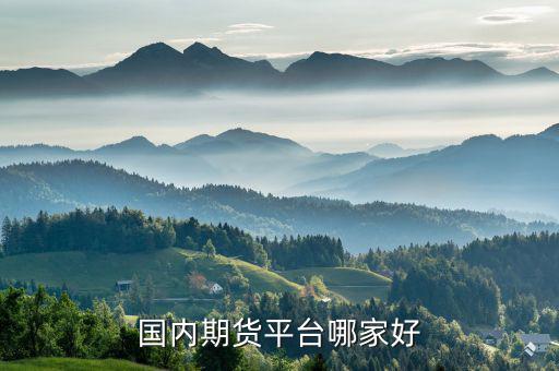 國內期貨平臺哪家好