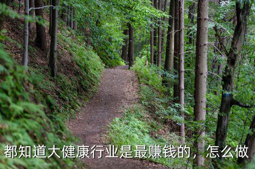 都知道大健康行業是最賺錢的，怎么做