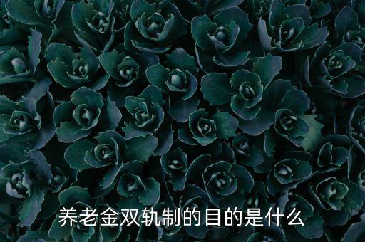 什么是養老雙規制,養老金雙軌制的目的是什么