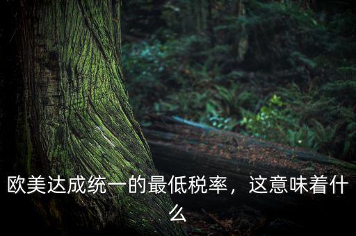 歐美達成統一的最低稅率，這意味著什么