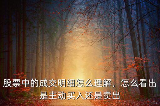 股票中的成交明細怎么理解，怎么看出是主動買入還是賣出