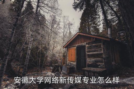 安徽大學網絡新傳媒專業怎么樣