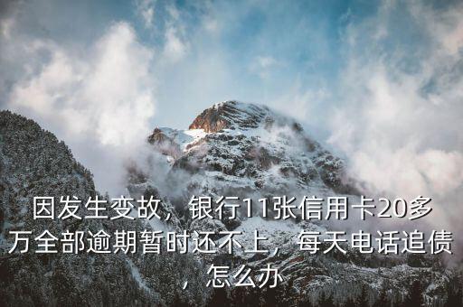 因發生變故，銀行11張信用卡20多萬全部逾期暫時還不上，每天電話追債，怎么辦