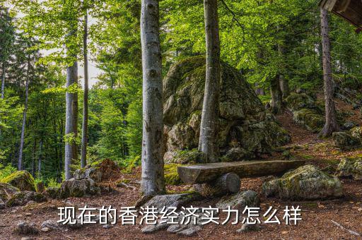 現在的香港經濟實力怎么樣