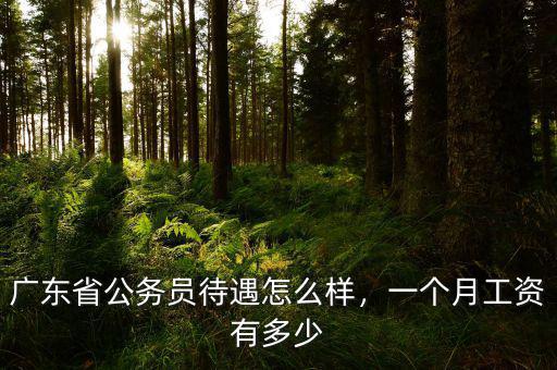 廣東省公務(wù)員待遇怎么樣，一個月工資有多少