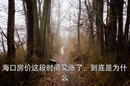 房價為什么又漲了,有些地區房價又漲了