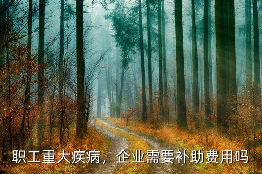 重大疾病病人注冊公司有什么優惠,患有重大疾病