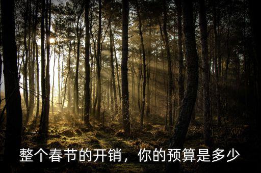 春節花費多少,今年過年大家都花費多少呢