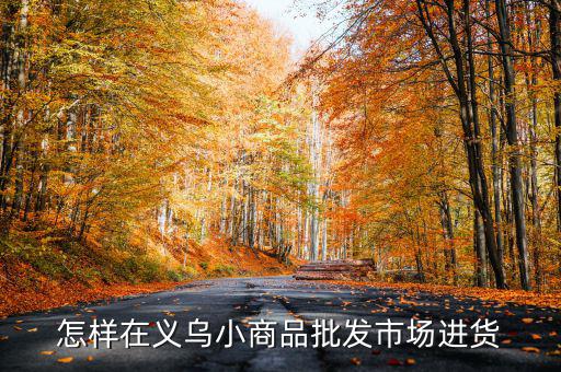 怎樣在義烏小商品批發市場進貨