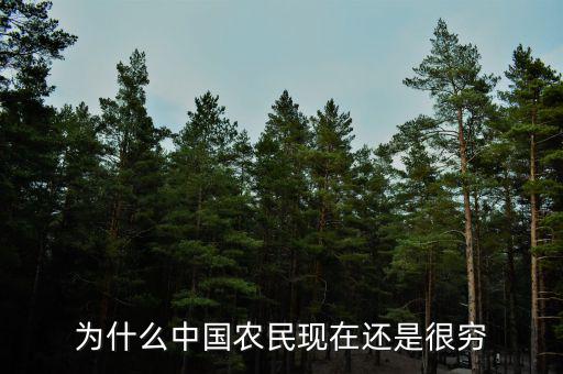 為什么中國農民現在還是很窮