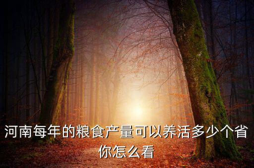 河南每年的糧食產量可以養活多少個省你怎么看
