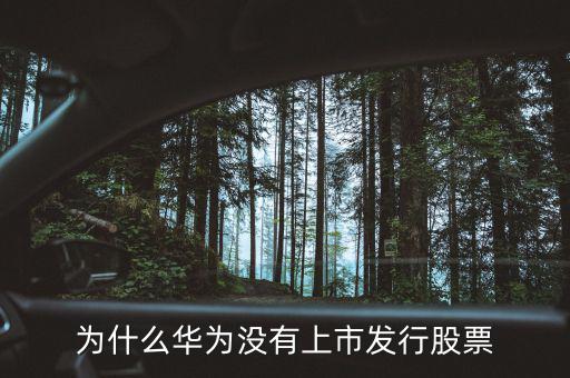 為什么華為沒有上市發行股票