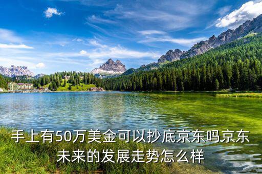手上有50萬美金可以抄底京東嗎京東未來的發展走勢怎么樣