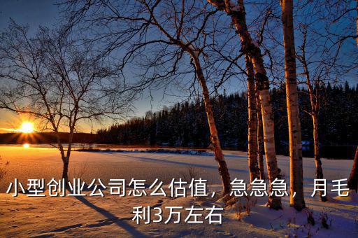 創業公司估值怎么算,創業公司估值有什么用