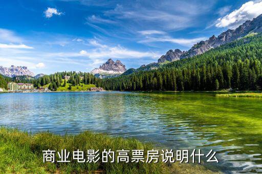 商業上映的死說明什么,商業電影的高票房說明什么