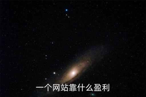 一個網站靠什么盈利