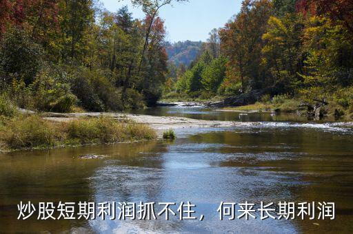 炒股短期利潤抓不住，何來長期利潤