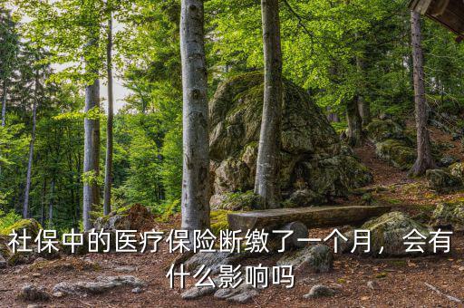 社保中的醫療保險斷繳了一個月，會有什么影響嗎
