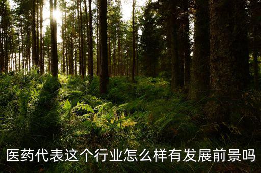 醫藥超市前途怎么樣,醫藥代表這個行業怎么樣