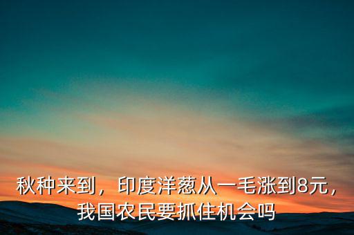 秋種來到，印度洋蔥從一毛漲到8元，我國農民要抓住機會嗎