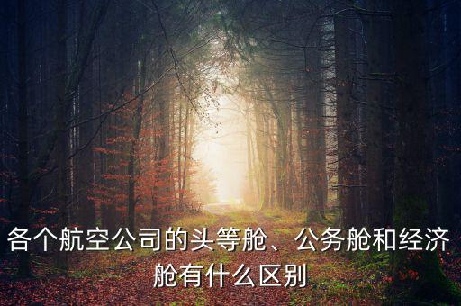 什么航空公司頭等艙,公務艙和經濟艙有什么區別