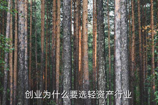 什么是資產輕量化,什么是輕資產模式