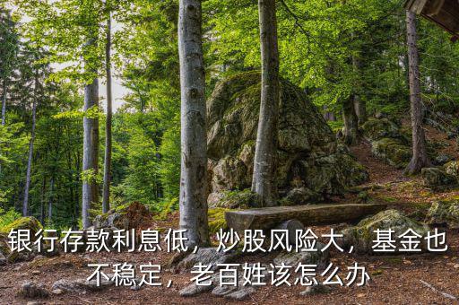 銀行存款利息低，炒股風險大，基金也不穩定，老百姓該怎么辦