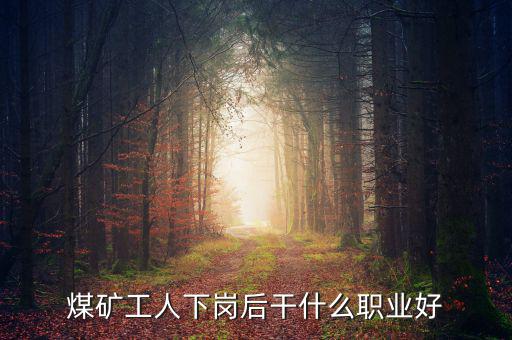 煤炭行業倒閉后該干什么,煤炭行業到底該何去何從