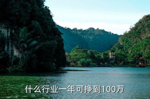 什么行業一年可掙到100萬