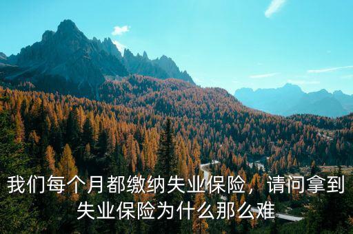 失業險為什么那么難領,我們每個月都繳納失業保險