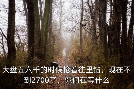 景興紙業在造什么項目,你們在等什么