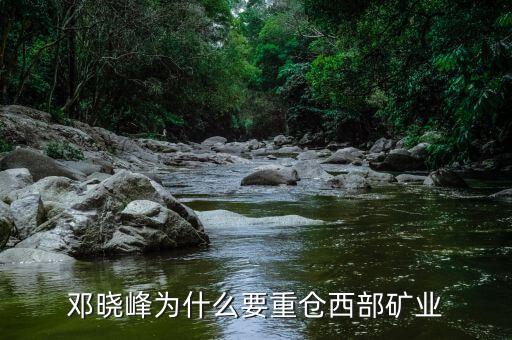 2015西部礦業為什么破發,紫金礦業為什么下跌
