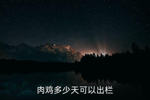 肉雞多少天可以出欄,肉雞養殖多少天可以出欄