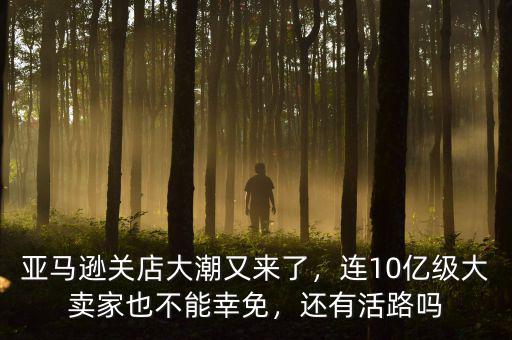 亞馬遜關店大潮又來了，連10億級大賣家也不能幸免，還有活路嗎