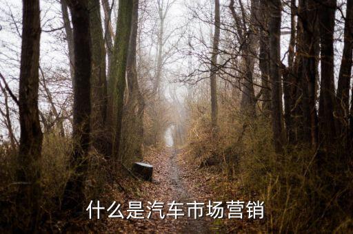 什么叫汽車營銷,汽車營銷專業主要學什么